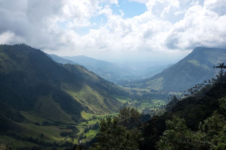 Mirador sur la vallée de Cocora