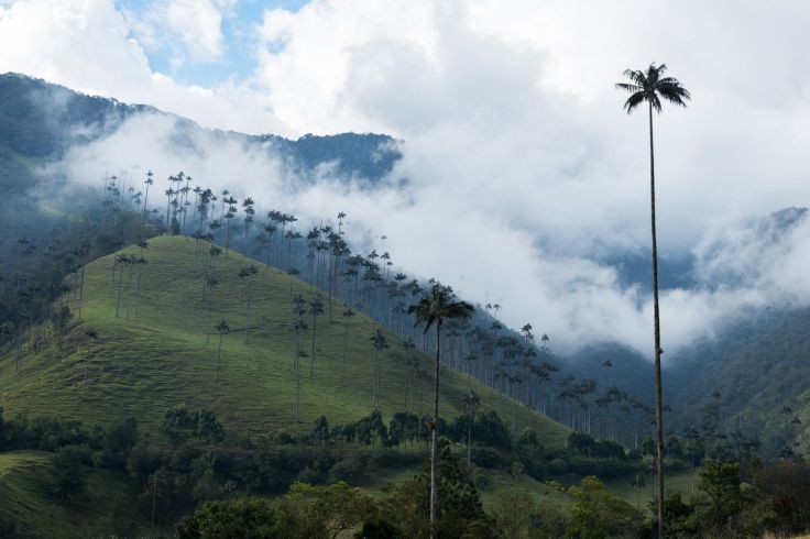 170906_154833_Colombie_J_0686r_light