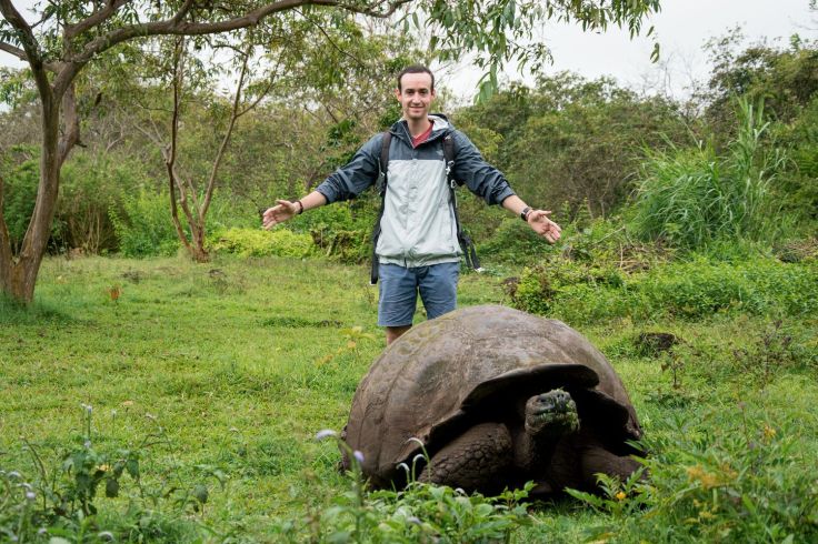 Tortue terrestre géante