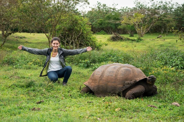 Tortue terrestre géante
