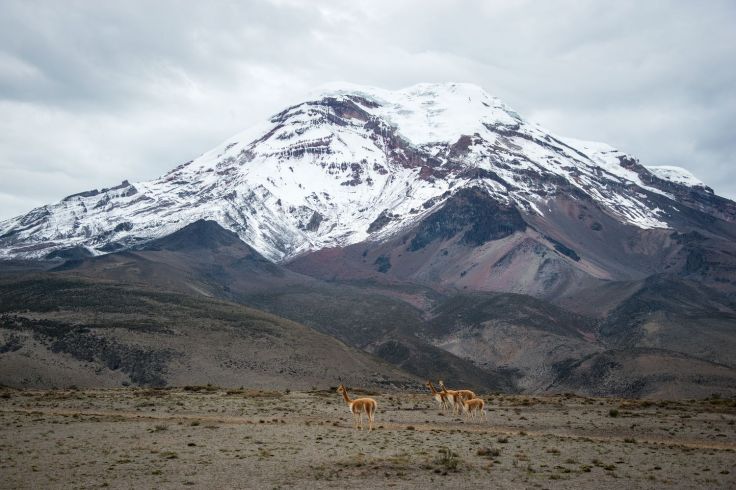 Vue sur le Chimborazo