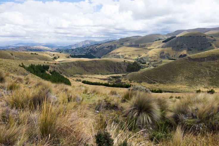 Vue sur les vallées autour du Chimborazo