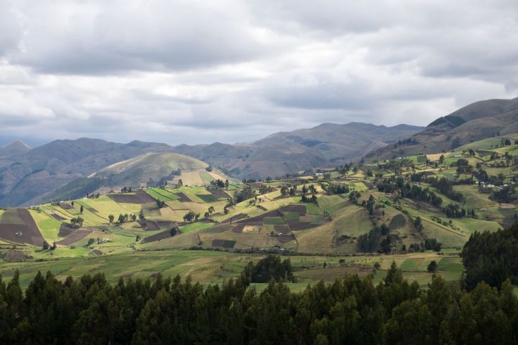 Vallées cultivées aux alentours du Chimborazo