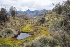 Vue du parc Cajas