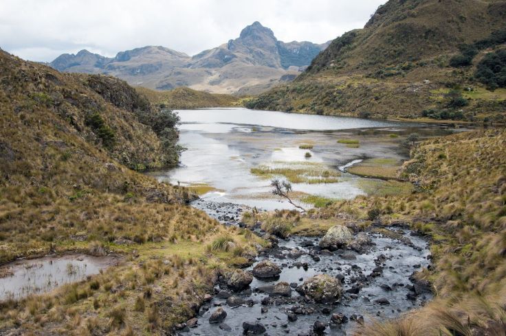 Parc Cajas