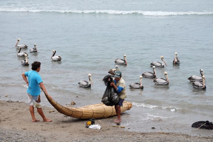 De retour de la pêche
