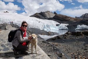 Même ici il y a des chiens qui cherchent la compagnie