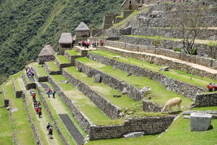 Les terrasses incas du Machu Picchu