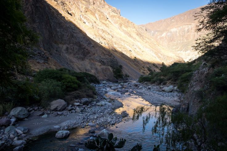 La vue à 6h30 du matin depuis notre cabane