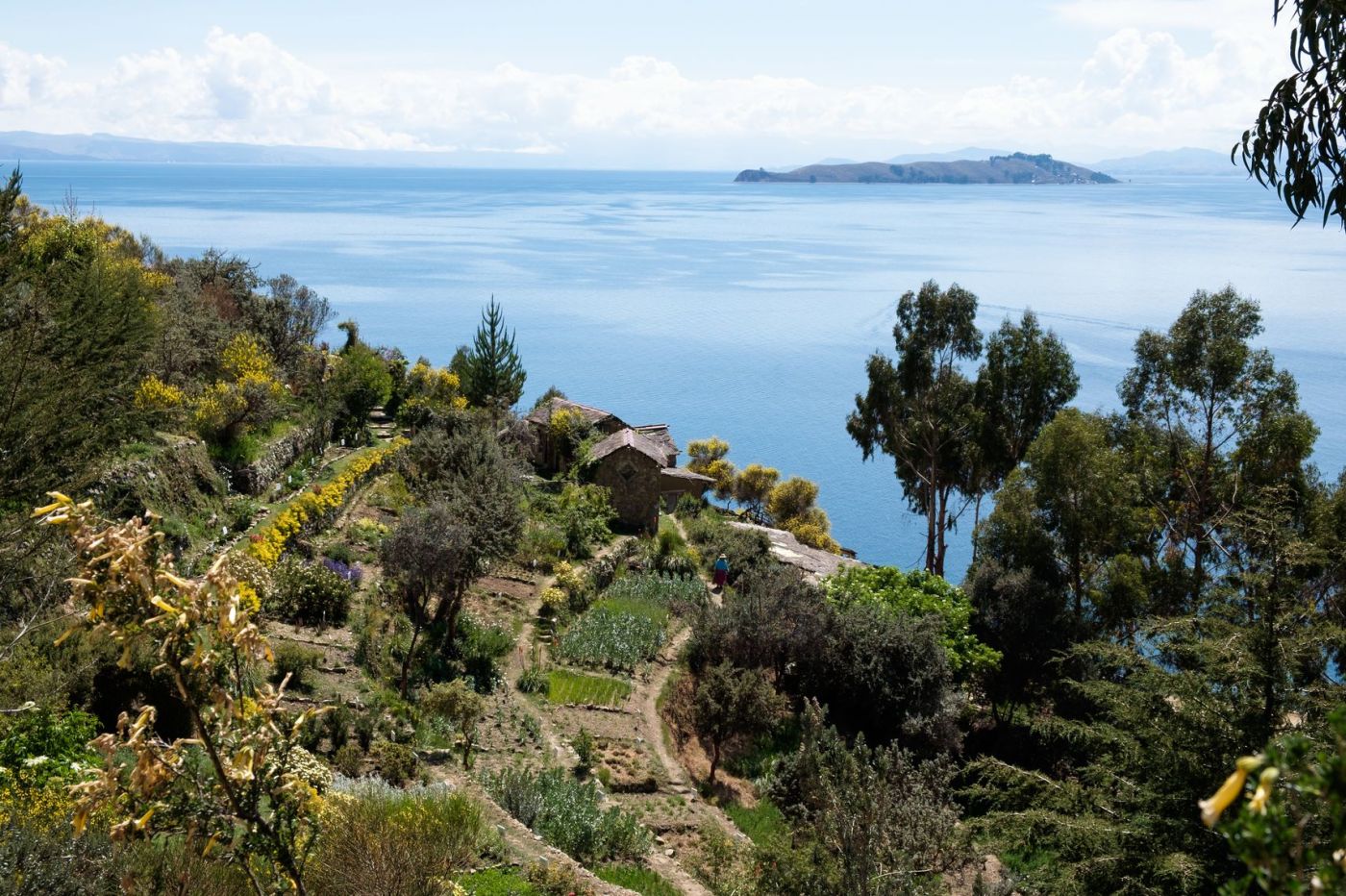 Un joli jardin de l'Isla del Sol